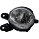 Purchase Top-Quality Driver Side Fog Lamp Assembly - LX2592118OE pa2