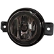 Purchase Top-Quality Driver Side Fog Lamp Assembly - NI2592122 pa1