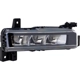 Purchase Top-Quality Driver Side Fog Lamp Assembly - BM2592158 pa1