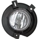 Purchase Top-Quality Driver Side Fog Lamp Assembly - FO2592193 pa1