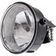 Purchase Top-Quality Driver Side Fog Lamp Assembly - FO2592229 pa1