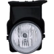 Purchase Top-Quality Driver Side Fog Lamp Assembly - GM2592154 pa1