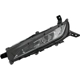 Purchase Top-Quality Driver Side Fog Lamp Assembly - LX2592126 pa2
