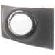 Purchase Top-Quality Driver Side Fog Lamp Cover - FO2598101 pa6