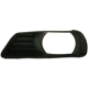 Purchase Top-Quality Driver Side Fog Lamp Cover - TO2598101 pa1