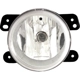 Purchase Top-Quality Driver Side Fog Lamp Lens/Housing by DEPO - 333-2031N-AC pa1