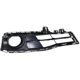 Purchase Top-Quality Driver Side Front Bumper Insert - BM1038182 pa1