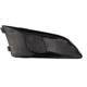 Purchase Top-Quality Driver Side Front Bumper Insert - GM1038134 pa1