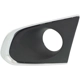 Purchase Top-Quality Driver Side Front Bumper Insert - GM1038181 pa2