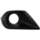 Purchase Top-Quality Driver Side Front Bumper Insert - SU1038108 pa1
