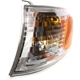 Purchase Top-Quality Various Manufacturers - TO2530137 - Driver Side Front Signal Lamp pa6