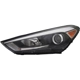 Purchase Top-Quality Driver Side Headlamp Assembly Composite - HY2502199C pa1