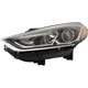 Purchase Top-Quality Driver Side Headlamp Assembly Composite - HY2502217 pa4