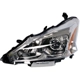 Purchase Top-Quality Driver Side Headlamp Assembly Composite - NI2502208 pa12