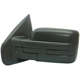 Purchase Top-Quality Driver Side Outside Rear View Mirror - FO1320348 pa1