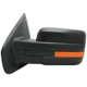 Purchase Top-Quality Driver Side Outside Rear View Mirror - FO1320413 pa1