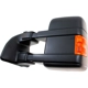 Purchase Top-Quality Driver Side Outside Rear View Mirror - FO1320487 pa8