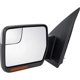Purchase Top-Quality Driver Side Outside Rear View Mirror by SHERMAN PARTS - 579CF-300L pa2