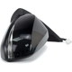 Purchase Top-Quality Driver Side Outside Rear View Mirror by SHERMAN PARTS - 8125-320C-1 pa2