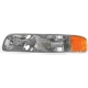 Purchase Top-Quality Driver Side Parklamp Assembly by DEPO - 332-1678L-US pa2