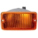 Purchase Top-Quality Driver Side Parklamp Assembly by DEPO - 333-1626N-US pa1