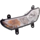 Purchase Top-Quality Driver Side Parklamp Assembly - FO2520189 pa3