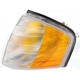 Purchase Top-Quality Driver Side Parklamp Assembly - MB2520101 pa3