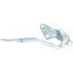 Purchase Top-Quality Driver Side Rear Bumper Molding by SHERMAN PARTS - FOEXPL16-350ML pa1