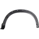 Purchase Top-Quality Driver Side Rear Wheel Opening Molding - HO1790109 pa2