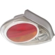 Purchase Top-Quality Driver Side Taillamp Lens/Housing - NI2818109 pa1