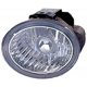 Purchase Top-Quality Driving And Fog Light by DEPO - 3152006LAC pa1