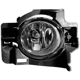 Purchase Top-Quality Driving And Fog Light by DEPO - 3152021RAQ pa1
