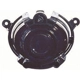 Purchase Top-Quality Driving And Fog Light by DEPO - 3352030NAC pa1