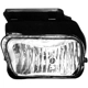 Purchase Top-Quality DORMAN - 1571020 - Driving And Fog Light pa20