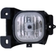 Purchase Top-Quality Driving And Fog Light by DORMAN - 1631268 pa2