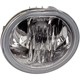 Purchase Top-Quality DORMAN (OE SOLUTIONS) - 923-851 - Driving And Fog Light pa4