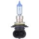 Purchase Top-Quality Lumière de conduite et antibrouillard par PHILIPS - 9006CVB1 pa13
