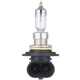 Purchase Top-Quality Lumière de conduite et antibrouillard par PHILIPS - 9006XVB1 pa12