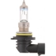 Purchase Top-Quality Lumière de conduite et antibrouillard par PHILIPS - 9006XVB2 pa35