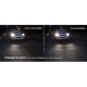 Purchase Top-Quality Lumière de conduite et antibrouillard par PHILIPS - 9006XVB2 pa41