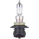 Purchase Top-Quality Lumière de conduite et antibrouillard par PHILIPS - 9006XVB2 pa46