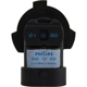 Purchase Top-Quality Lumière de conduite et antibrouillard par PHILIPS - 9040B1 pa15