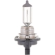 Purchase Top-Quality PHILIPS - H11BB1 - Halogen Headlight Bulbs pa1