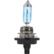 Purchase Top-Quality PHILIPS - H11BCVPS2 - Platinum Light Bulbs pa4