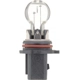 Purchase Top-Quality PHILIPS - P13WC1 - Daytime Running Light Bulb pa2