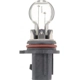 Purchase Top-Quality PHILIPS - P13WC1 - Daytime Running Light Bulb pa4