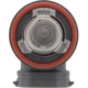 Purchase Top-Quality Driving And Fog Light by PHILIPS - H16C1 pa15