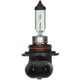 Purchase Top-Quality Lumière de conduite et antibrouillard par WAGNER - BP9006 pa14
