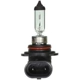 Purchase Top-Quality Lumière de conduite et antibrouillard par WAGNER - BP9006 pa22