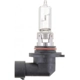 Purchase Top-Quality PHILIPS - 9005C1 - Dual Beam Headlight pa30